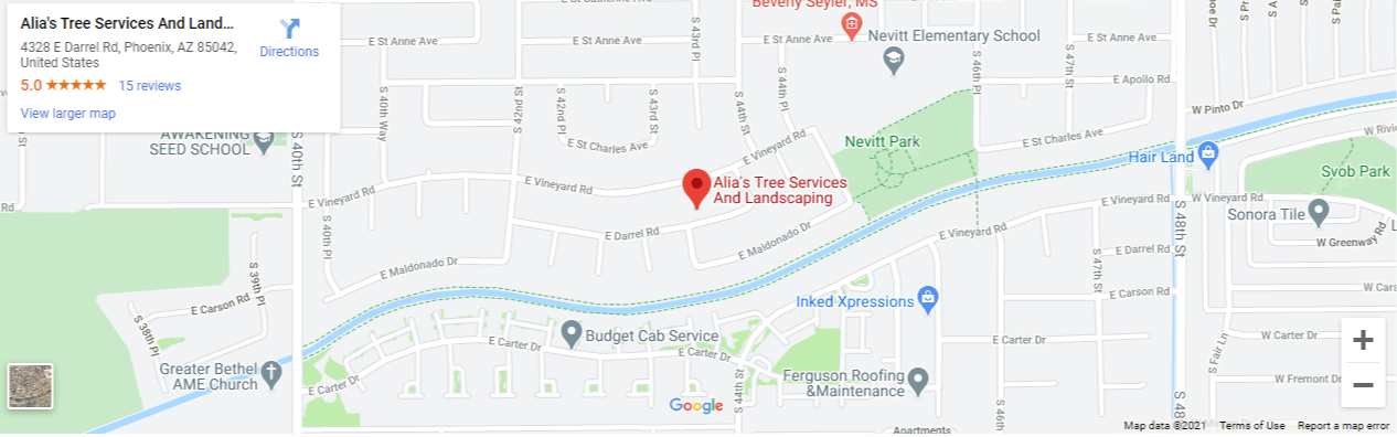 landscaping service near me