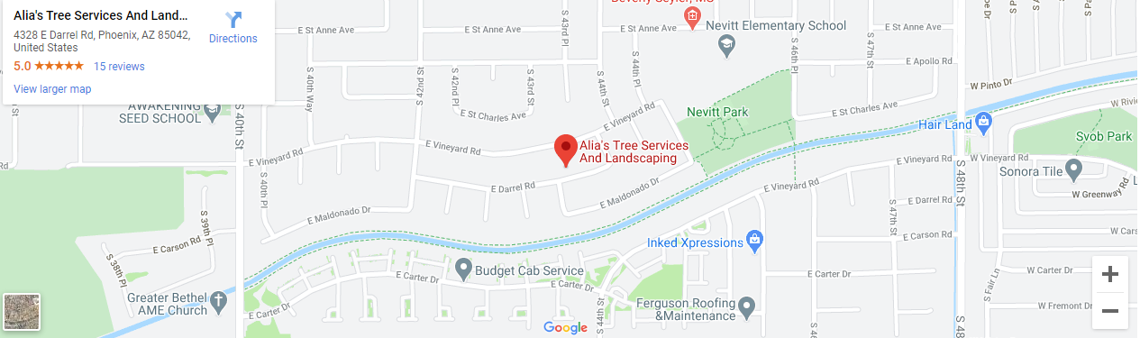 landscaping service near me