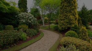 landscaping phoenix